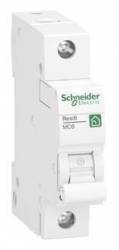 Schneider Electric R9F24113