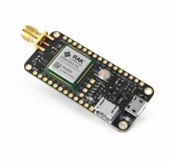 RAK Wireless 315014