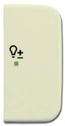 Busch Jaeger 2CKA006220A0256