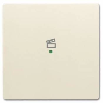 Busch Jaeger 2CKA006220A0399