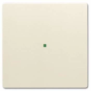 Busch Jaeger 2CKA006220A0396