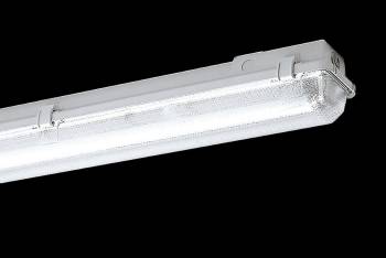 Schuch 163020209