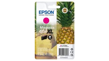 Epson C13T10H34010
