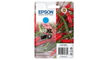 Epson C13T09R24010