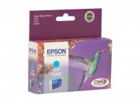 Epson C13T080240