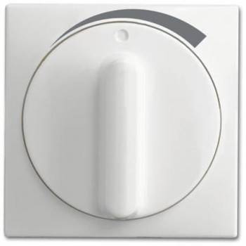 Busch Jaeger 2CKA001710A4101
