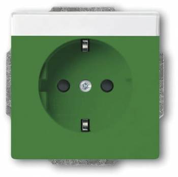 Busch Jaeger 2CKA002013A5424