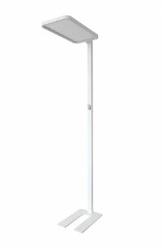 Synergy 21 S21-LED-NB-240017