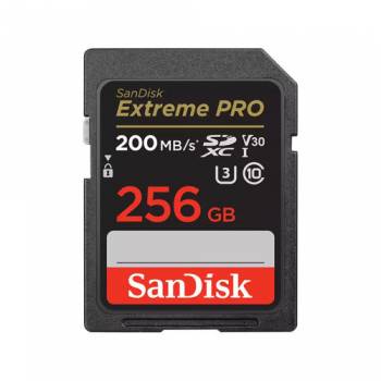 SANDISK SDSDXXD-256G-GN4IN
