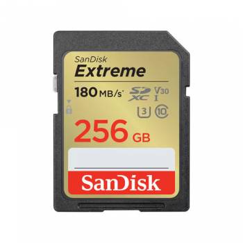 SANDISK SDSDXVV-256G-GNCIN