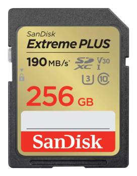 SANDISK SDSDXWV-256G-GNCIN