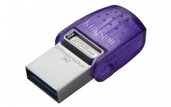 Kingston DTDUO3CG3/256GB