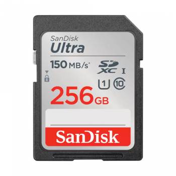 SANDISK SDSDUNC-256G-GN6IN