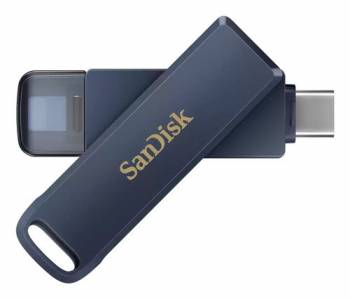 SANDISK SDIXD0N-256G-GN6NE