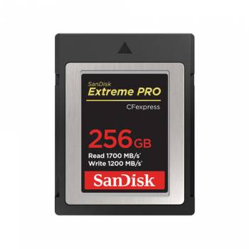 SANDISK SDCFE-256G-GN4NN