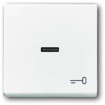 Busch Jaeger 2CKA001751A2755