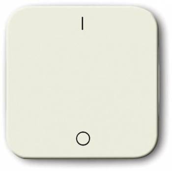 Busch Jaeger 2CKA001731A0231