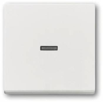 Busch Jaeger 2CKA001751A3153