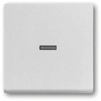 Busch Jaeger 2CKA001751A3149