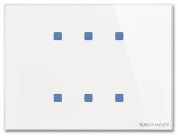 Busch Jaeger 2CKA006300A1618