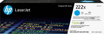 HP W2221X