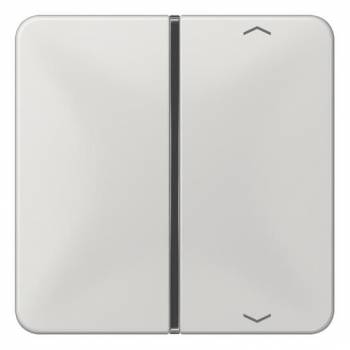 JUNG CD401TSAPLG