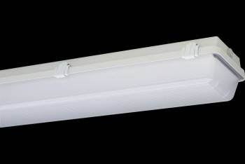 Schuch 162150352
