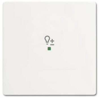 Busch Jaeger 2CKA006220A0485