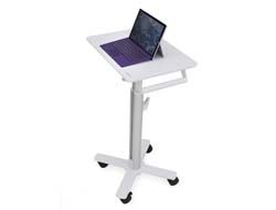 ERGOTRON SV10-1800-0