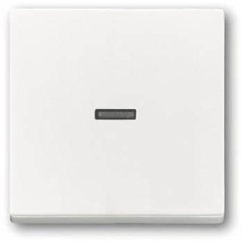 Busch Jaeger 2CKA001751A3150