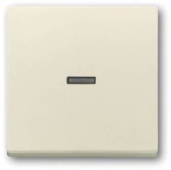 Busch Jaeger 2CKA001751A3148