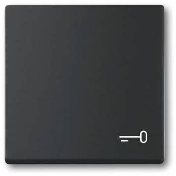 Busch Jaeger 2CKA001751A3202