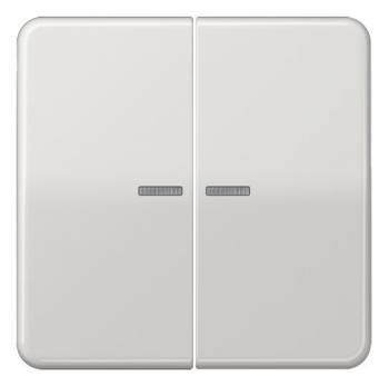 JUNG CD595KO5BFLG