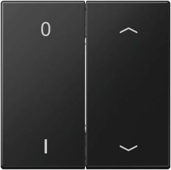 JUNG ENOLS995P01SWM