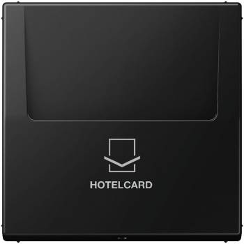 JUNG LS590CARDSWM
