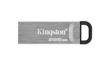 Kingston DTKN/256GB