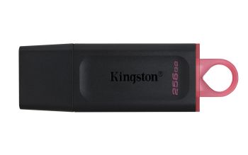 Kingston DTX/256GB
