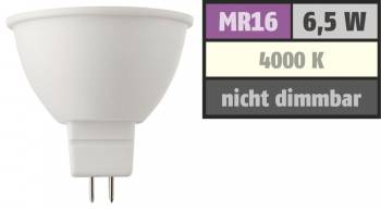 Muellerlicht ETT-1451826
