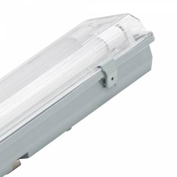 Muellerlicht ETT-1452291