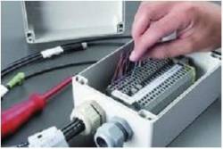 Bernstein 1210000000