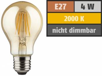 Muellerlicht ETT-1451898