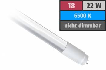 Muellerlicht ETT-1451135