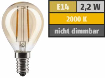 Muellerlicht ETT-1451906