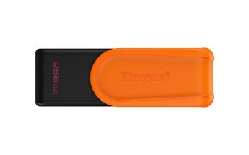 Kingston DTXS/256GB