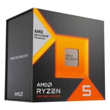 AMD 100-100001904WOF
