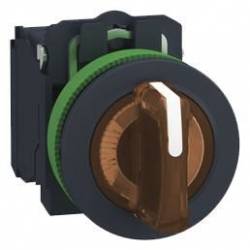 Schneider Electric XB5FK135B5