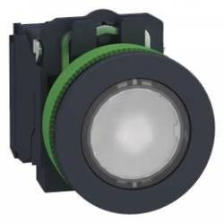 Schneider Electric XB5FW31M5