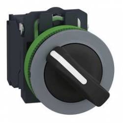 Schneider Electric XB5FD21C0