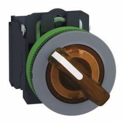 Schneider Electric XB5FK125B5C0