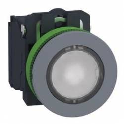 Schneider Electric XB5FW31M5C0